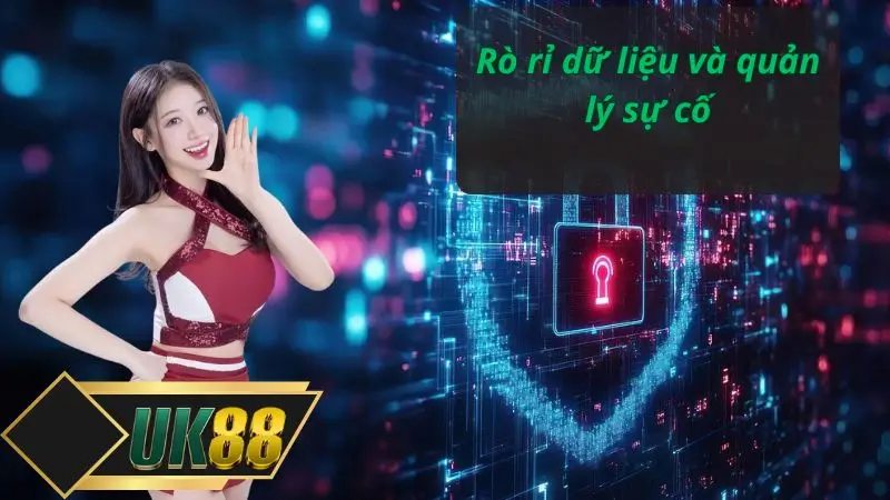 Rò rỉ dữ liệu và quản lý sự cố